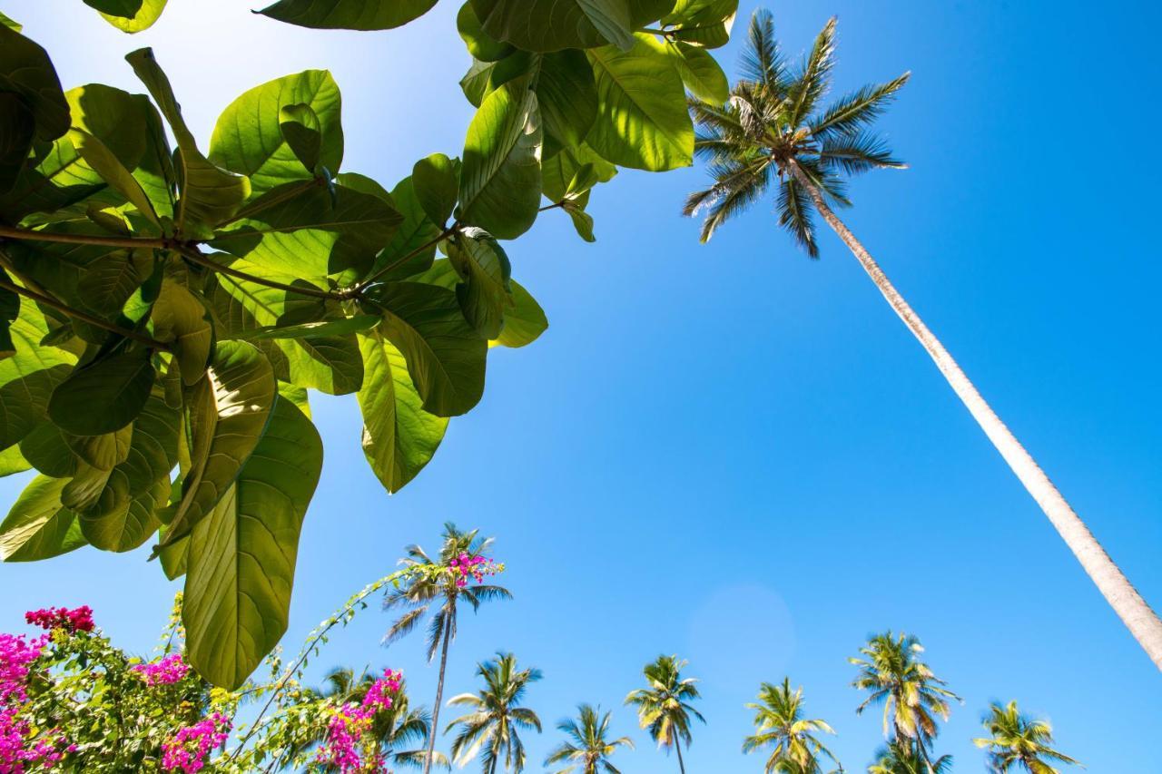Uroa Beach Lodge Bagian luar foto