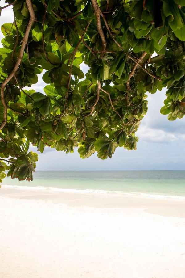 Uroa Beach Lodge Bagian luar foto