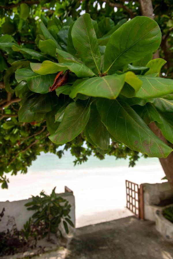 Uroa Beach Lodge Bagian luar foto