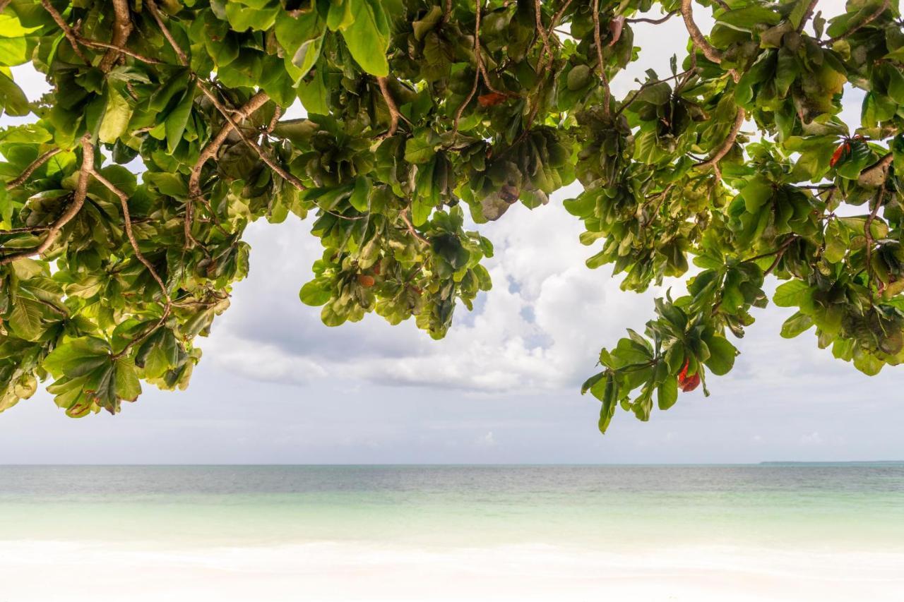 Uroa Beach Lodge Bagian luar foto